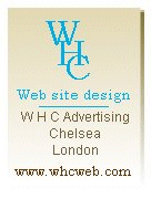 web site design for the small business at affordable prices 
